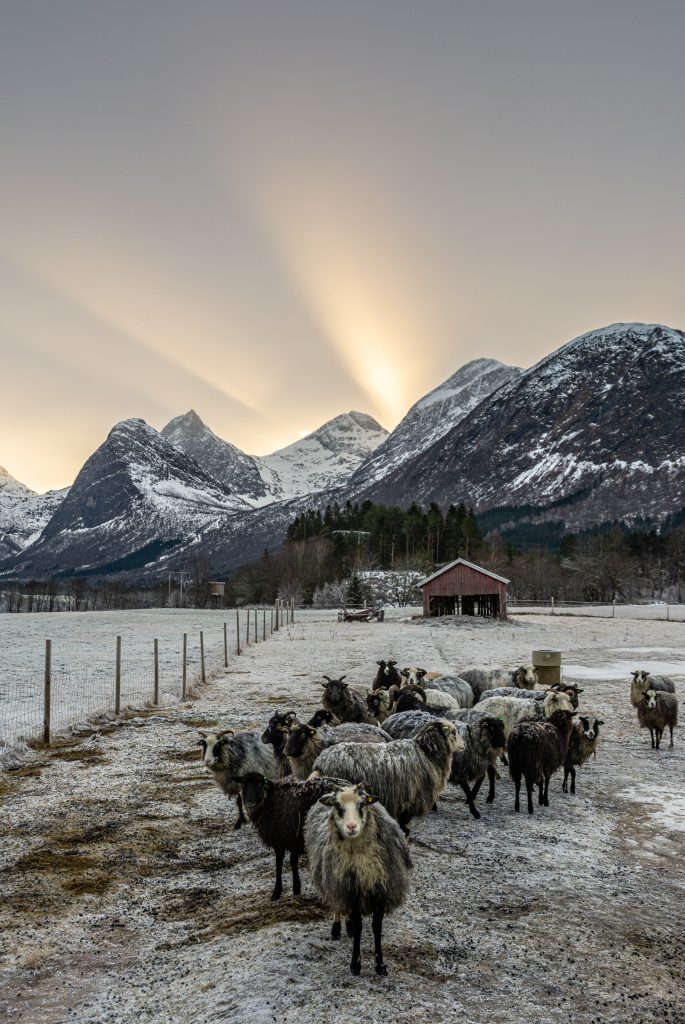 Foto: © Svein Kvakland