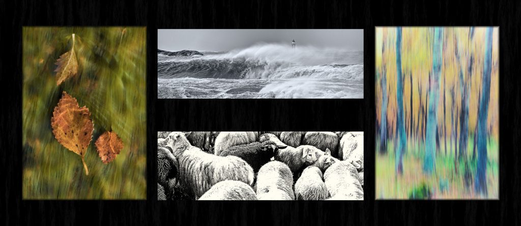 Foto: © Roar Bech, "Høst 2"