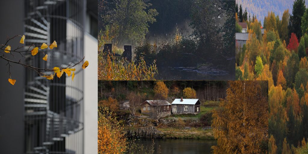 Foto: © Øystein Wiik, "Høsten"