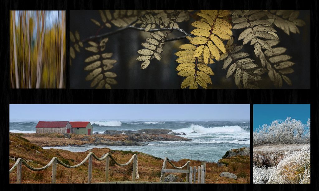 Foto: © Roar Beck, "Høst 1"