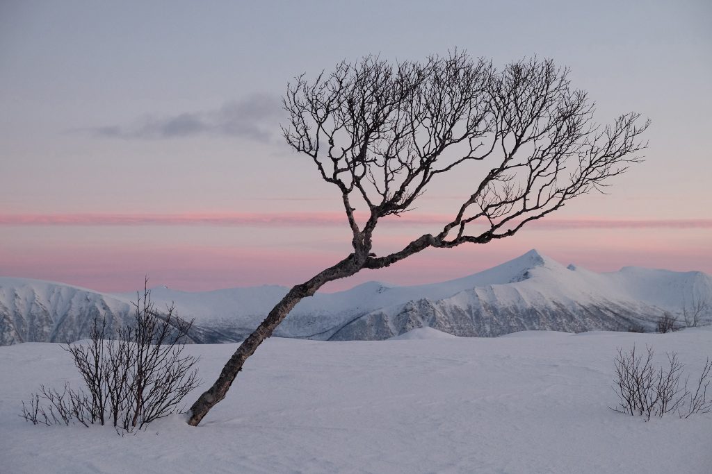 Foto: © Belinda Renèe Dragset, "Vinter på Gisløya"