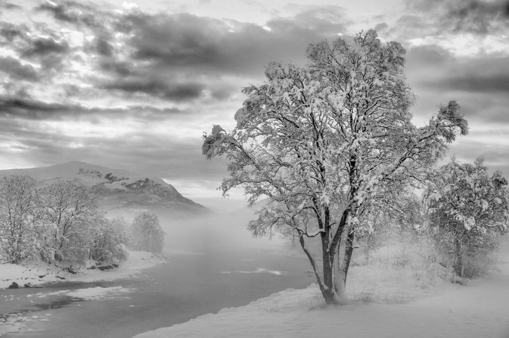 Foto: © Abdelmuhaymin Abbas, "Vinter i Fræna"