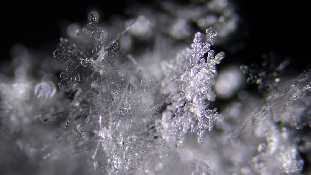 Foto: © Norunn Bolstad, "Snøkrystaller 2"