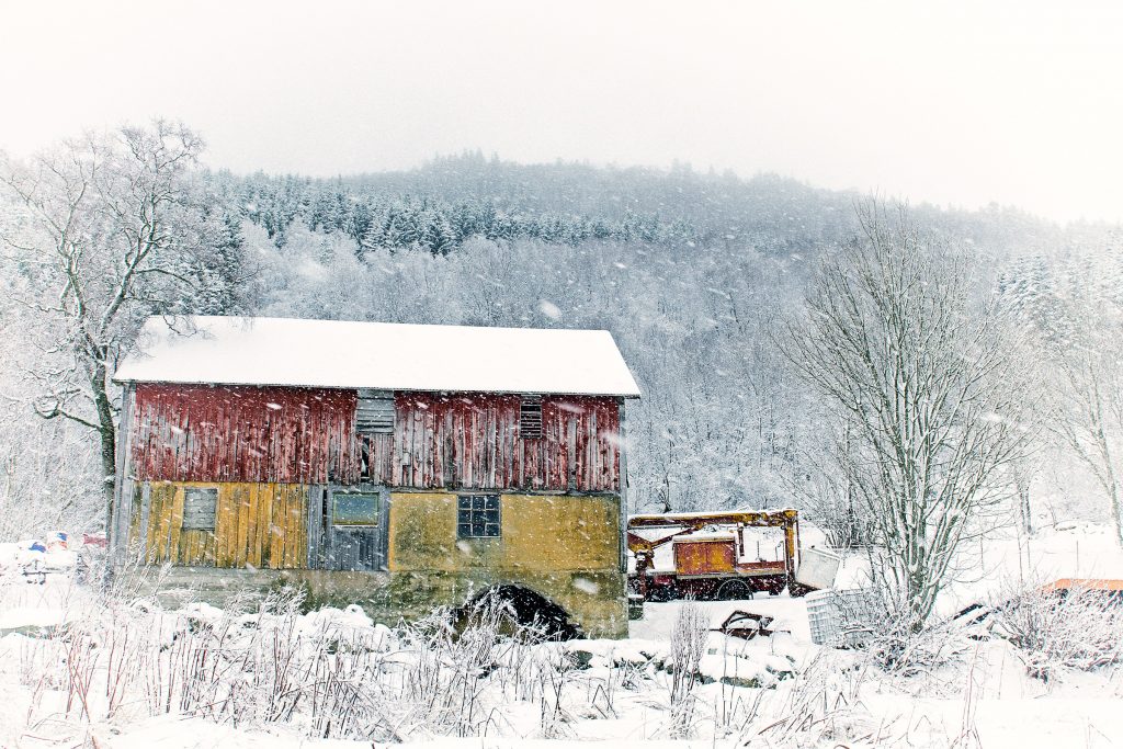 Foto: © Roar Bech, "Snøbyge"