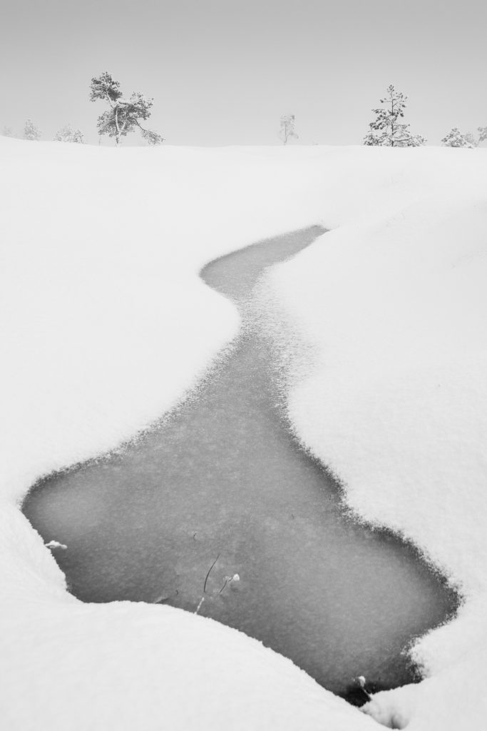 Foto: © Svein Kvakland, "Isflekk"