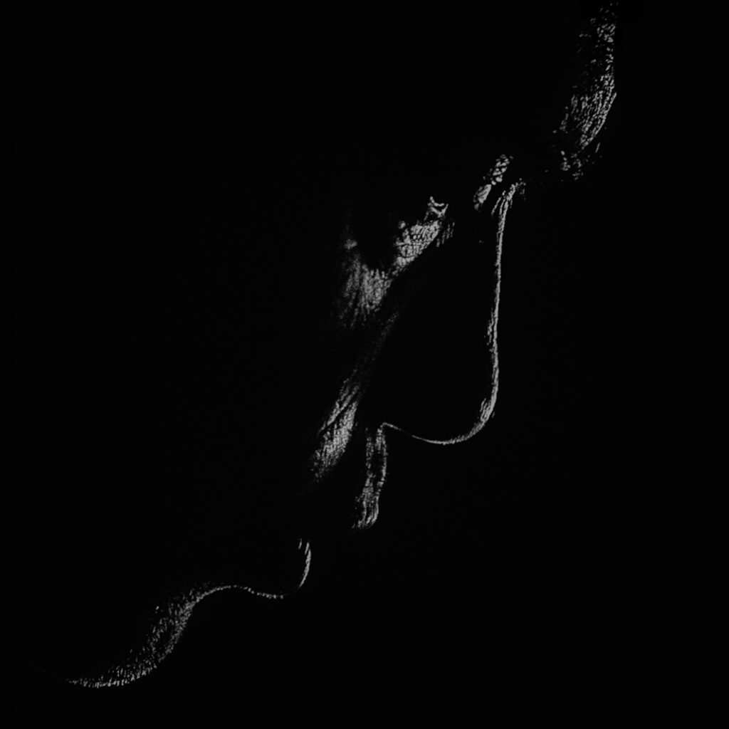 Foto: © Leif Erling Aasan, "Arne"