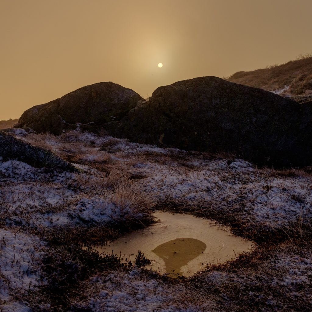 Foto: © Bjørn Ivar Haugen, "Desembersol"