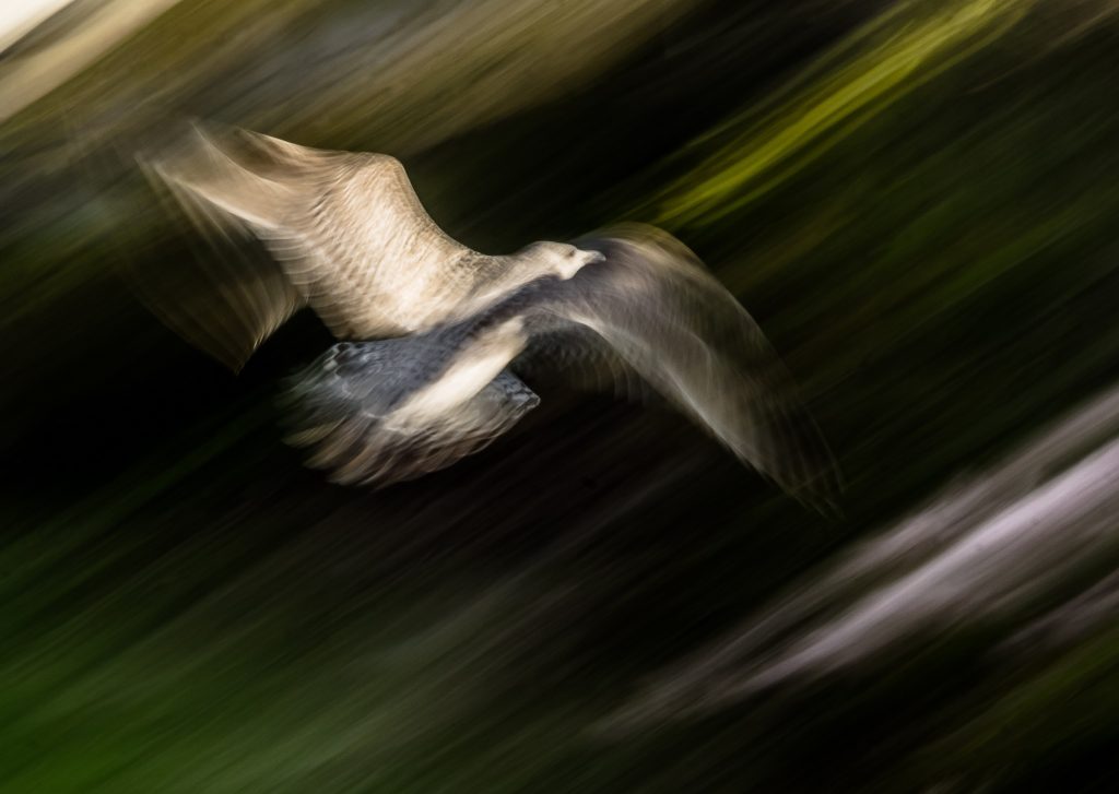 Foto: © Eva Frisnes, «På flukt»