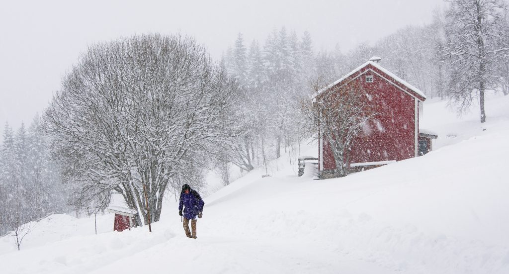 Foto: © Magnar Fjørtoft, "Med håp om snarlig vår"