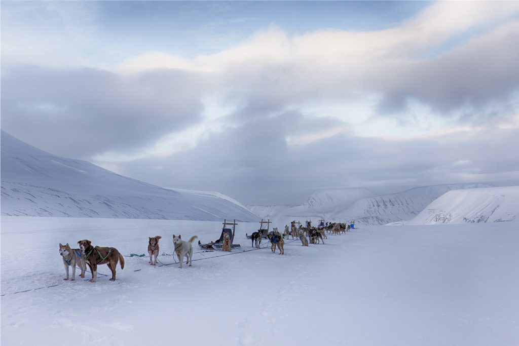 Foto: © Kjetil Valle, "Svalbard 2"