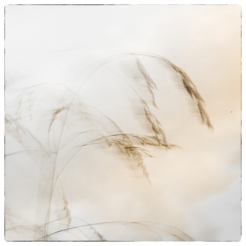 Foto: © Leif Erling Aasan