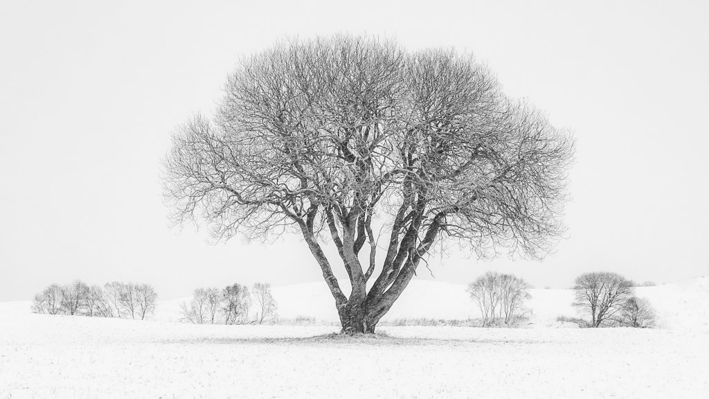 Foto: © Leif Erling Aasan, "Vinterlandskap nær Hustadvika"